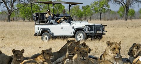 Kafue National Park National Parks In Africa