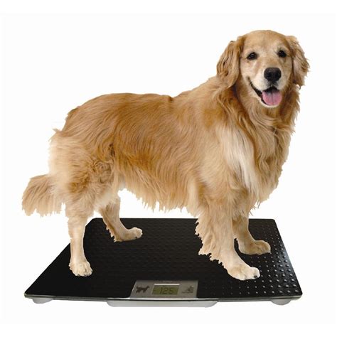 Redmon Digital Large Pet Scale