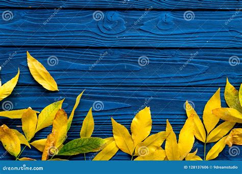 Het Concept Van De Herfstkleuren Model Met Gele Bladeren Op De Blauwe