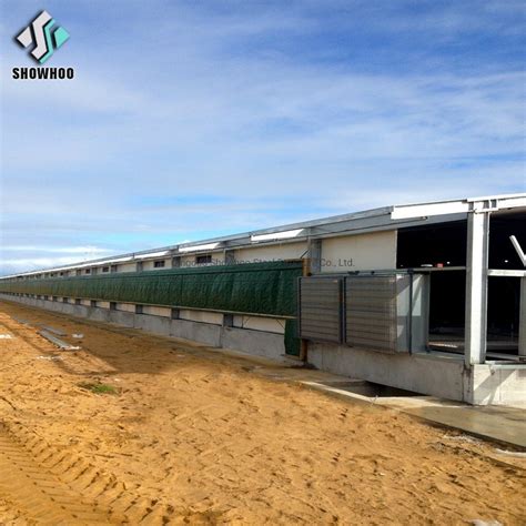 Automatic Modern Steel Structure Chicken Farm Shed Design Closed System