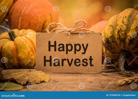 Fall harvest cornucopia. stock photo. Image of healthy - 123944518