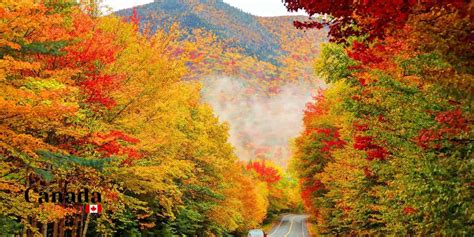 Discover Scenic Muskoka Fall Colour Routes