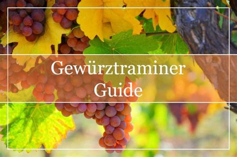 Gewürztraminer Wine Guide 101 - WinePros