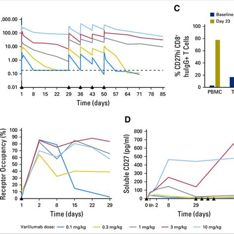 Varlilumab Pharmacokinetics And Receptor Occupancy A Serum