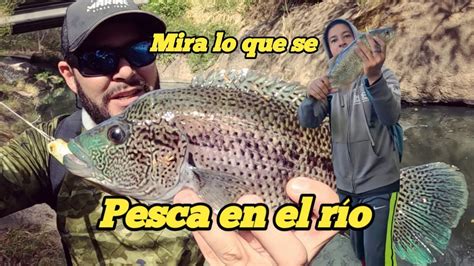 Capturas De Robalo Guapotes Y Machaca Pescando En El R O Youtube