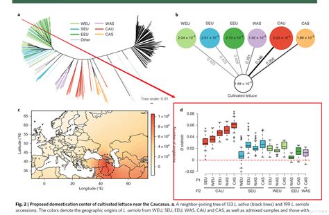 跟着nature Genetics 学画图：r语言ggplot2画箱线图boxplot展示d Statistic51cto博客r语言