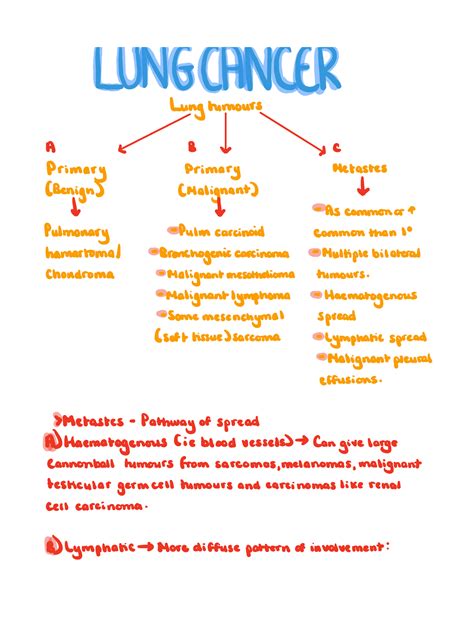 Lung Cancer Pathology Lung Cancer Lung Tumours A L B V C Primary