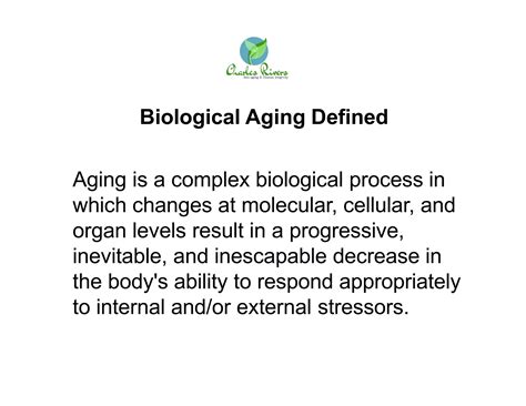 Biological Theories Of Aging PPT