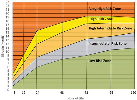 Aap Hyperbilirubinemia Guidelines 2022 Hotsell Cpshouston Net