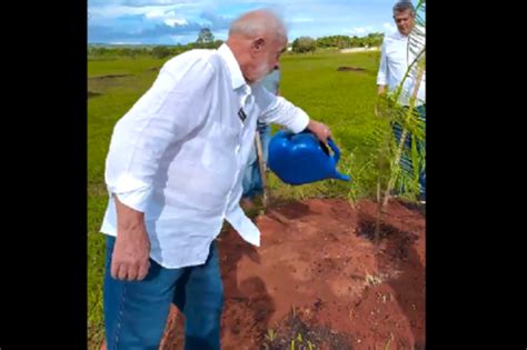 Lula Planta árvore Na Granja Do Torto Ao Lado De Janja Não é Só