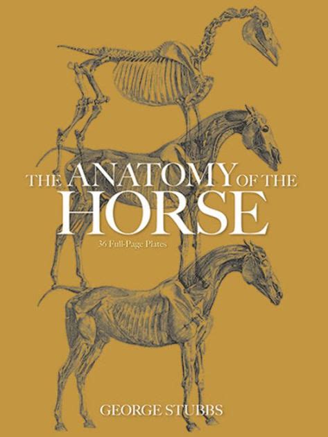 The Anatomy Of The Horse By George Stubbs Nook Book Ebook Barnes