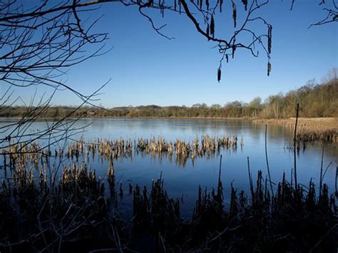 RSPB Lochwinnoch Nature Reserve, Lochwinnoch | What's On Renfrewshire