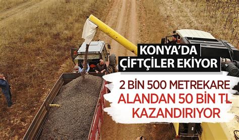 Konyada çiftçilerin gözde ürünü oldu Dönümden 1 ton veriyor ve 50