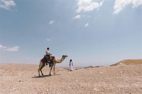 HD wallpaper: person ride on camel on desert, man riding camel in ...