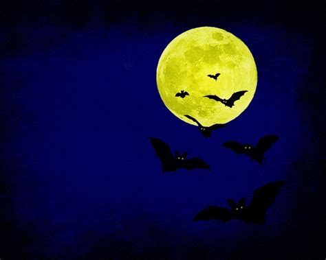 🔥 [40+] Scary Halloween HD Wallpapers | WallpaperSafari