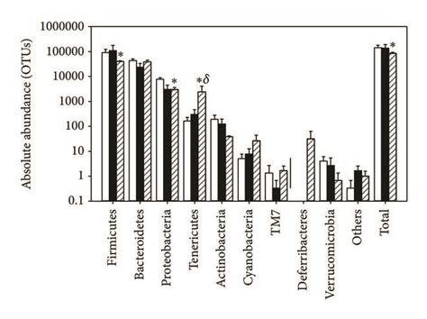 Bacteria Phyla On Faecal Gut Microbiota A Relative Abundance And