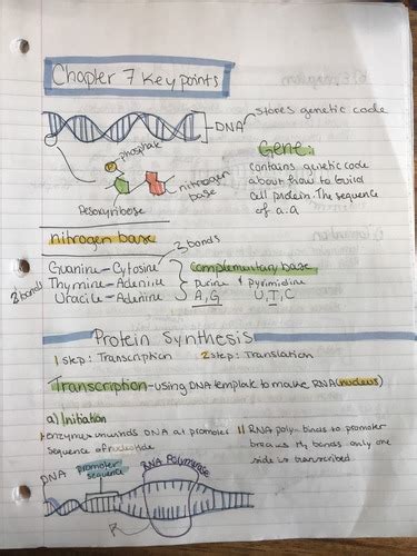 Tissues Organ Systems Flashcards Quizlet