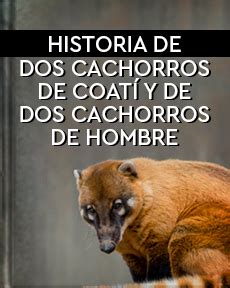 El Libro Total Historia De Dos Cachorros De Coat Y De Dos Cachorros