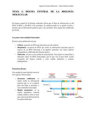 TEMA 5 Genética molecular Traducción y código genético Warning TT