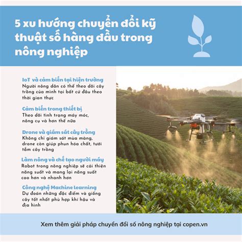 5 Xu Hướng Chuyển đổi Kỹ Thuật Số Phổ Biến Trong Nông Nghiệp