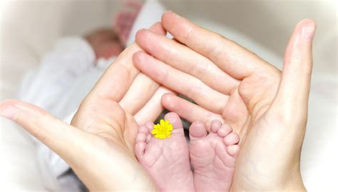 Best Ethical Surrogacy Agency In Bangkok IVF Center Cost In Thailand