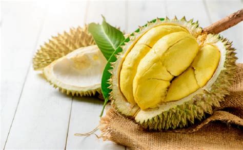 Tips Jitu Agar Pohon Durian Berbuah Lebat Wahana News