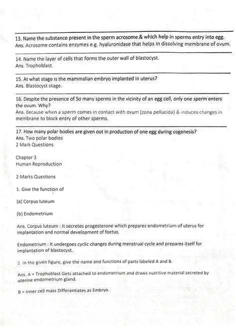 Solution Chapter 3 Human Reproduction Worksheet Studypool