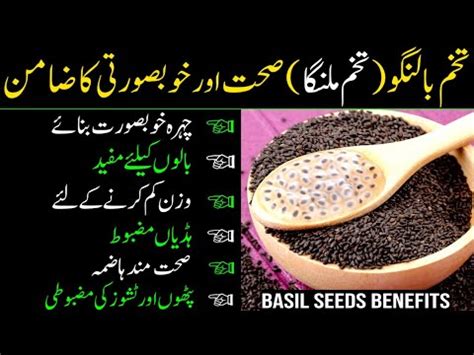 Tukh Malanga Ke Fayde In Urdu Hindi Benefits Of Basil Seeds In Urdu