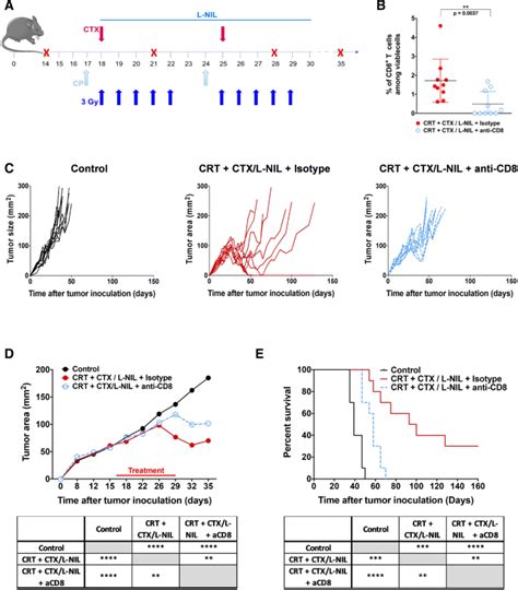 Tumor Microenvironment Modulation Enhances Immunologic Benefit Of Chemoradiotherapy Journal