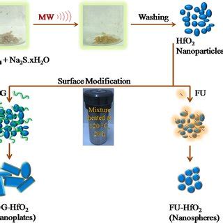 A Xrd Patterns Show The Cubic To Monoclinic Conversion Of Hfo With