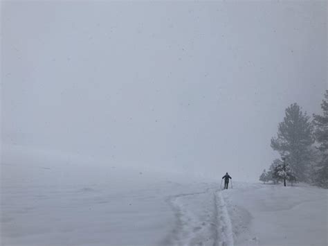 Went Snowshoeing on Laguna : r/sandiego