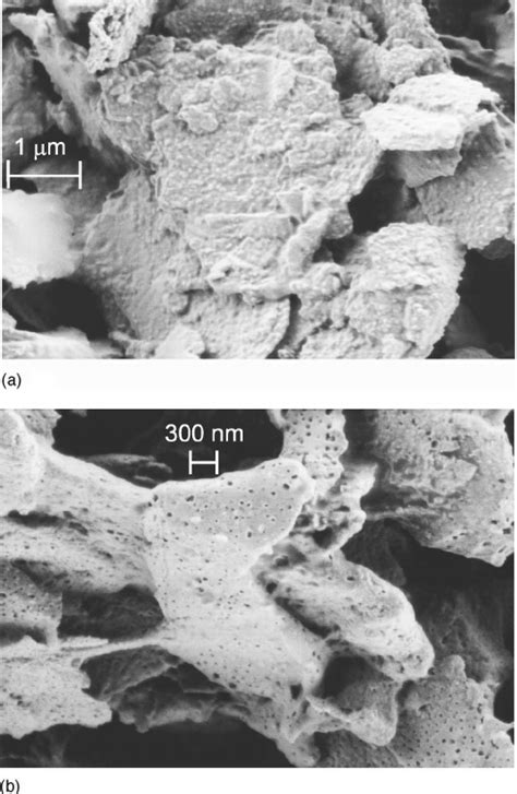 Prolonged Cycling For A Compound Electrode In Ec Dmc M Lipf