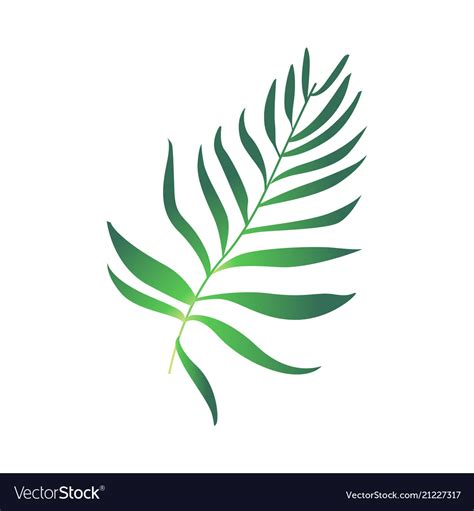 Cartoon Green Fern Plant Icon Royalty Free Vector Image