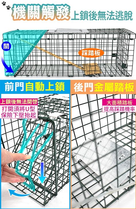 折疊式誘捕籠陷阱籠寵物籠運輸籠捕貓籠捕狗籠摺疊式誘貓籠抓貓籠抓狗籠抓鼠籠 敗家導購 Y購物