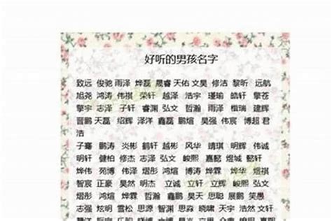 现代男孩取什么名好给男孩子取什么名字好听姓李 起名 若朴堂文化