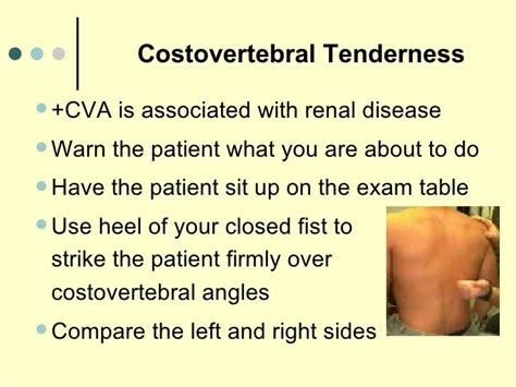 General Physical Assessment