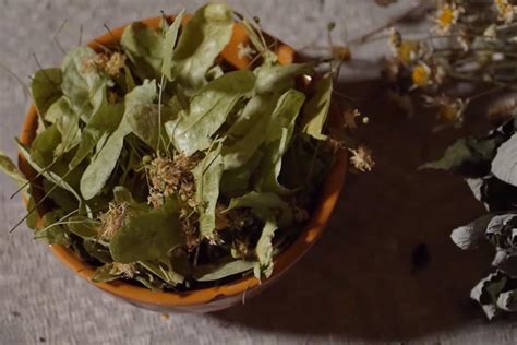 Если лечиться травами, можно прожить до 100 лет. Травница из Иваново ...