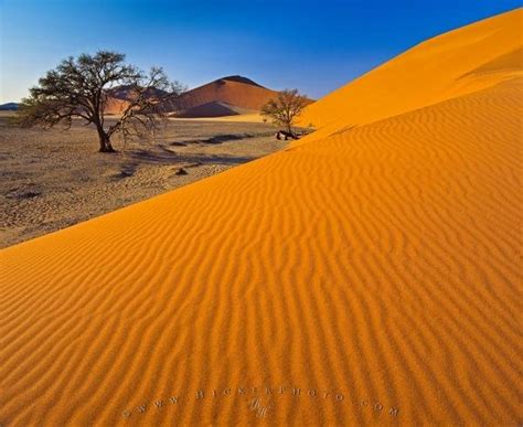 Sand Dunes At Sossusvlei Namib Naukluft National Park Namibia | Photo ...