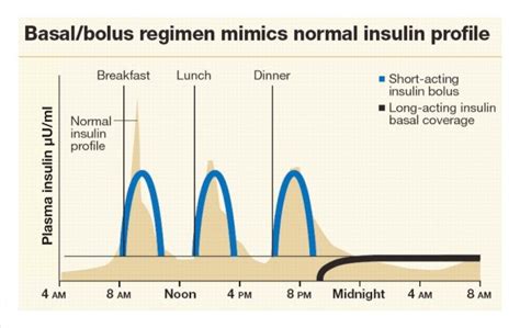 The Basal and Bolus Approach to Insulin Delivery – Diabetes Daily