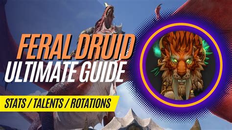 Ultimate Feral Druid Dragonflight Guide Stats Talents Rotations