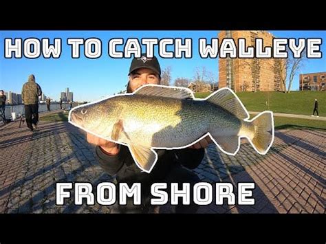 How To Catch BIG Walleye In The Detroit River Jigging Tutorial Tips