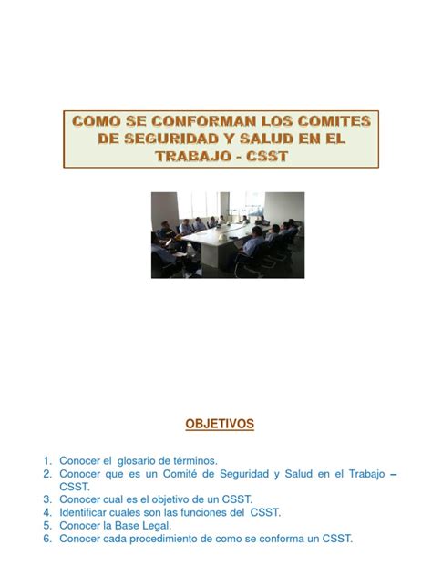 PDF Como Se Conforma Un Comite De Seguridad Y Salud En El Trabajo