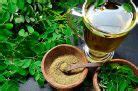 Beneficios Moringa Preparar Te