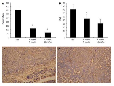 Effects Of Recombinant Human Canstatin Protein In The Treatment Of