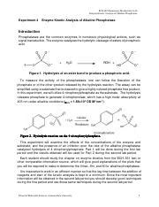 Lab 4 Enzyme Kinetics Pdf BCH 367 Elementary Biochemistry Lab Enzyme