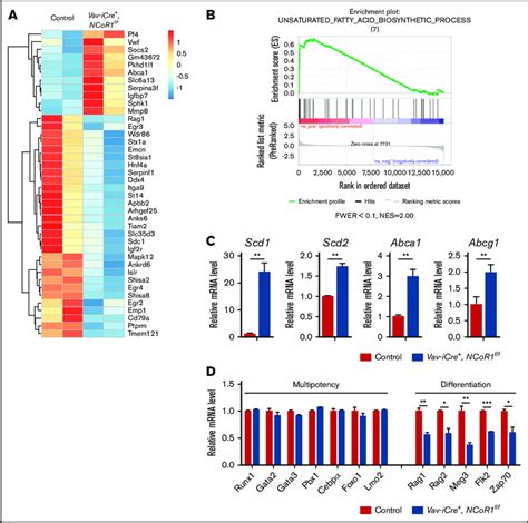 Ncor Deletion Changes The Gene Expression Profile A Heat Map