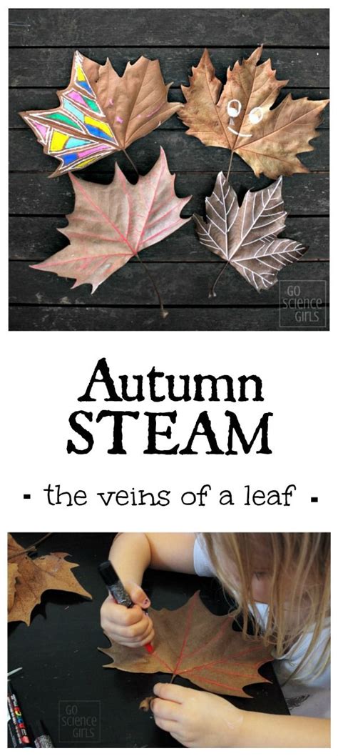 Exploring veins patterns in leaves kids painting activity – Artofit