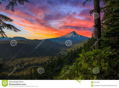 Beautiful Vista Of Mount Hood In Oregon Usa Stock Image Image Of