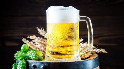 Qu Pasa Si Tomo Cerveza Todos Los D As El Heraldo De M Xico