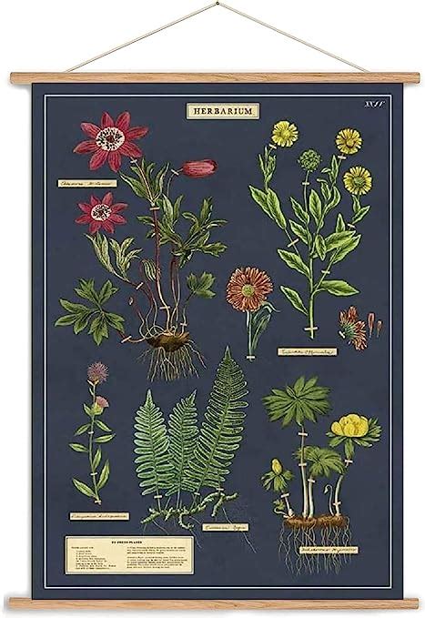 Amazon Cavallini Decorative Wrap Poster Set Diy Vertical Poster